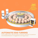 Automatic 35 Egg Incubator - Electric Digital Turning Chicken Quail Duck Hatching V238-SUPDZ-41058148679760