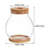 Transparent Glass Terrarium Planter for Home Decor, Minimalist Design, Indoor Plant Holder V1369-AZ3-W-12982