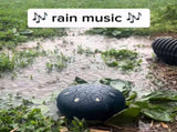 Rain Drum for Outside,Chakra Drum for Rain Outdoor, Drum Rain Chime Waterproof,Rain Drum for V1189-WXFWAL-20260319-01501