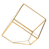 Gold Geometric Shape Succulents Plant Flowerpot Glass Planter Landscape Home Table Decoration V1294-YM0901-3112200036011