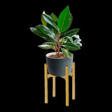 Metal Plant Stand Adjustable Indoor V63-916221