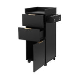 Artiss Professional Salon Station Rolling Cart, Hair Styling Beauty Cabinet with 2 Drawers, Large FUR-AD-SAL-03-BK