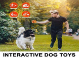 Large Dog Chew Toys for Aggressive Chewers,6 Pack Almost Indestructible Dog Balls for Large V1192-AZ-W-31161