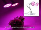 Plant Light LED Countertop Clamp Light Full Spectrum Plant Fill Light Indoor Nursery Succulent V1294-YM0901-L6811EU-2