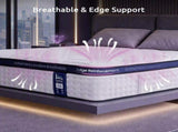 Levitex 35CM Queen Mattresses Gel Memory Foam and 7-Zone Ergonomic Pocket Spring, Anti-Roll Dual-Row MATTRESS-F-OMNI-35-Q