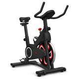 Lifespan Fitness SM-120 Spin Bike with Automatic Magnetic Resistance V572-LFEX-SM120