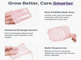 Semi-Transparent Pink Square Self-Watering Propagation Pot for Desktop Succulents, Seedlings, and V1341-ZY-J99X4UDS-H-12PCS