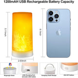 LED Flame Light with Remote & Timer, USB Rechargeable Outdoor Flame Lamp, 4 Modes Waterproof V1366-AZ2-W-18260