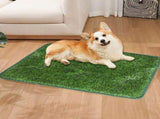 Artificial Grass Mat for Dogs Indoor and Outdoor, Realistic Dog Potty Training Grass, Portable Pet V1370-AZ4-19736