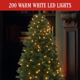 Christabelle 137cm Pine Slimline Christmas Tree with LED Lights 112_HZGS45