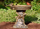 Resin Raccoon Birdbath Polyresin Antique Garden Bird Bath for Home Garden Yard V1370-AZ4-15864