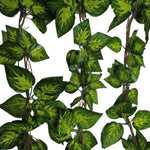 Artificial Pothos / Ivy Hanging Vines 260cm Each V77-1158896