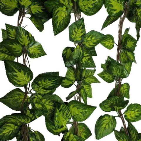 Artificial Pothos / Ivy Hanging Vines 260cm Each V77-1158896