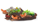 Plant Pot Innovative Waterproof Succulent Flower Bonsai Resin Planter Home DecorationSquirrels V1294-YM0718-3111200296111