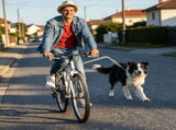 Bike Dog Leash with Shock-Absorbing Spring Bracket Hands-Free Cycling Dog Walker for Outdoor V1341-ZY-FE96E793-SILVER