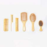 6-Piece Bamboo Hair Brush Set Eco-Friendly Wooden Hairbrushes & Combs for Men,Women & Kids V1192-AZ-W-18935