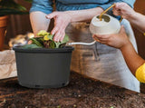 Black Nursery Pots 10 Gallon, Thick Planters with Drainage Holes for Gardening, Flowers, Vegetables V1366-AZ2-W-16510