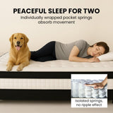 KINGSTON SLUMBER RelaxMax 31cm Queen Mattress, Medium, Euro Top, 5-Zone, Pocket Spring, Knitted V219-BEDMATKSST4A