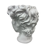 Urban Attitude David Head Planter - Matte White V398-UA-UT260610WHT