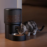 Automatic Cat Feeder WiFi Automatic Dog Food Dispenser with Camera Remote V1263-JX-6837