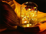 24K Gold Plated Rose Flower LED Light with Glass Cover Base Valentines'Day Wedding Gift Red V1294-YM0727-JY15089-01