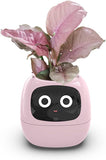 Intelligent Flower Pot, Electronic Bud, Maintenance Plant Assistant, Fun Interactive Flower Pot, V413-SMART-POT-PINK