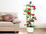 Gardening Climbing Vine Plant Climbing Vine Trellis for Climbing Plants V1294-YM0512-221116YA01-4