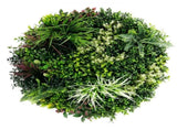 Slimline Artificial Green Wall Disc Art 80cm Colour Fresh UV Resistant V637-DP9864