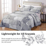 Nurturing Quilted Coverlet and Pillowcases Set: Perfect for Restful Sleep - Queen size V745-MAC080177Q13U