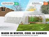 Walk-in Tunnel Greenhouse, 19.4x9.7x6.5 ft Hoop House Greenhouse Tunnel, Plant Hot House with V952-SDXWS20X10X78IHE2V0