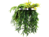 Silver Framed Roof Hanging Disc With Bright Tropical Foliage Mix and Draping Ferns 40cm UV Resistant V637-DP80108