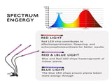 60 LED Full Spectrum Grow Light with 3 Timers, MultiColor V1237-ZY-506-0059