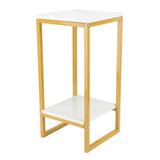 2 Tiers Flower Stand 60cm Sturdy Iron Frame Multifunctional Easy Assembly Flower Pot Shelf for V1294-YM0901-3111240020211