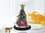 Christmas Tree in Glass Dome LED Glass Cover Ornaments Cedar Window Shooting Props Gifts for V1294-YM0523-10319222