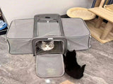 Expandable Airline Approved Pet Carrier Dual-Side Expansion, Breathable Mesh Windows, Adjustable V1232-KZB-MG-002