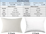 18" x 18" Decorative Throw Pillow with Inserts, Set of 2 Soft Textured Boucle Throw Pillows, Square V1258-DP02-C-3206