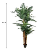 Large Tropical Palm Tree 300cm V637-1009700