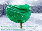 2pcs Huge Plant Covers Freeze Protection, 95"x83" Winter Tree Cover with Zipper Drawstring Thickened V1259-DP01-A-5373