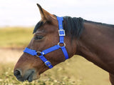 Adjustable Cow Halter with Lead Rope - All-Purpose Livestock Halter for Cattle, Calf, Donkey, Goat, V1192-AZ-W-2869