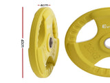 Everfit Weight Plates Olympic 20kg Dumbbell Barbell Plate Weight Lifting Home Gym Yellow FIT-K-DB-PL-20KG-YE