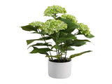Potted Artificial Green Hydrangea 50cm V637-05075HYD