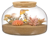 Glass Terrarium Jar Transparent 1Pcs 5.9x5.9x5.3In V1369-AZ3-W-15919