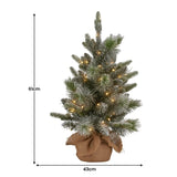 Christabelle 61cm Pre-Lit Snowy Stamford Spruce Battery-Operated Mini Christmas Tree Multi-Func 112_NATSS2