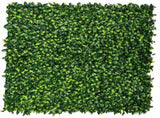 Jasmine Hedge Screen Green Wall Panel UV Resistant 100cm x 100cm V637-DP1004628
