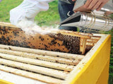 Galvanized Iron Beehive Smoker with Heat Shield Beekeeping Equipment V1294-YM0901-JY20728