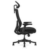 Lifespan Fitness DM9 Ergonomic Mesh High Back Office Chair V420-LFOC-DM9BK-1