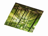 Forests Sunlight Printing Shading Curtains for Balcony Bedroom Drawing Room Window 170 * 200cm V1294-YM0901-JY35918-02