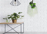 24Pcs Artificial Wisteria Vine White Hanging Flower Gar for Wedding Decoration V1366-AZ2-W-19259