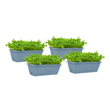 SOGA 49.5cm Blue Rectangular Planter Vegetable Herb Flower Outdoor Plastic Box with Holder Balcony PLANTBOX4W