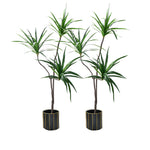 SOGA 2X 180cm Green Artificial Indoor Brazlian Iron Tree Fake Plant Decorative 3 Heads APLANTFHBS18090X2